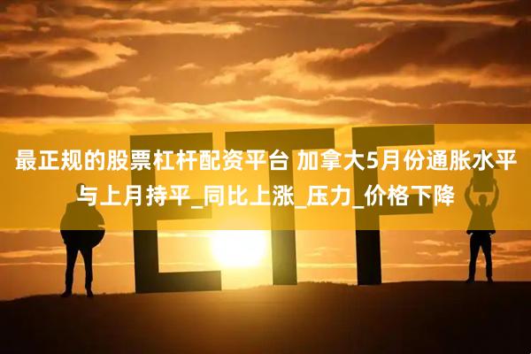 最正规的股票杠杆配资平台 加拿大5月份通胀水平与上月持平_同比上涨_压力_价格下降