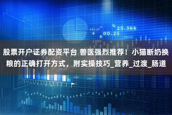 股票开户证券配资平台 兽医强烈推荐！小猫断奶换粮的正确打开方式，附实操技巧_营养_过渡_肠道