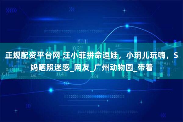 正规配资平台网 汪小菲拼命逗娃，小玥儿玩嗨，S妈晒照迷惑_网友_广州动物园_带着