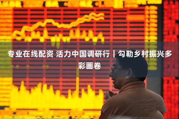 专业在线配资 活力中国调研行｜勾勒乡村振兴多彩画卷