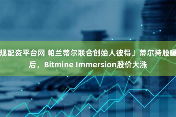 正规配资平台网 帕兰蒂尔联合创始人彼得・蒂尔持股曝光后，Bitmine Immersion股价大涨