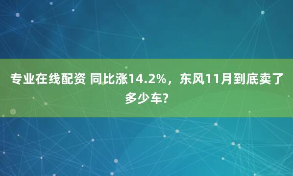 专业在线配资 同比涨14.2%,东风11月到底卖了多少车?