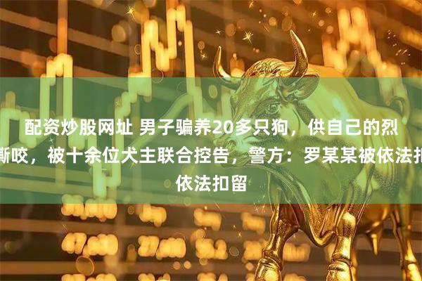 配资炒股网址 男子骗养20多只狗，供自己的烈犬撕咬，被十余位犬主联合控告，警方：罗某某被依法扣留