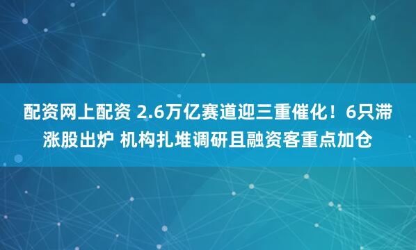 配资网上配资 2.6万亿赛道迎三重催化！6只滞涨股出炉 机构扎堆调研且融资客重点加仓